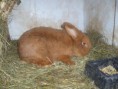 /album/fotogaleria/p1100755-jpg/