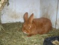 /album/fotogaleria/p1100756-jpg/